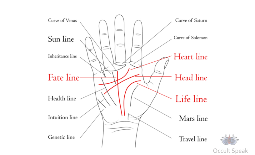 Can Palm Reading predict root cause and time of Death