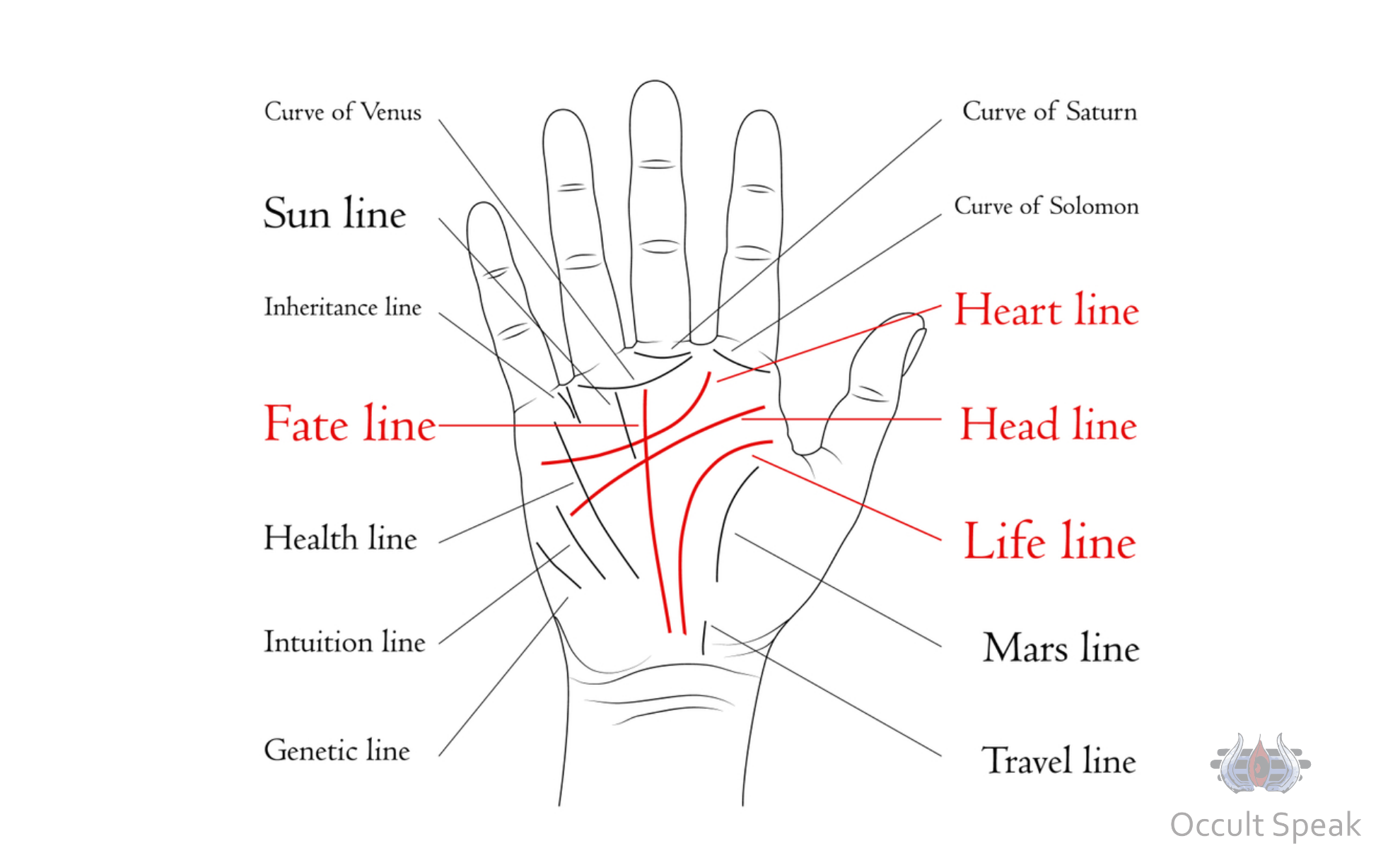 Read palm. Линия интуиции на руке. Palm lines. Линия main. Шаблон кисть руки хиромантия.