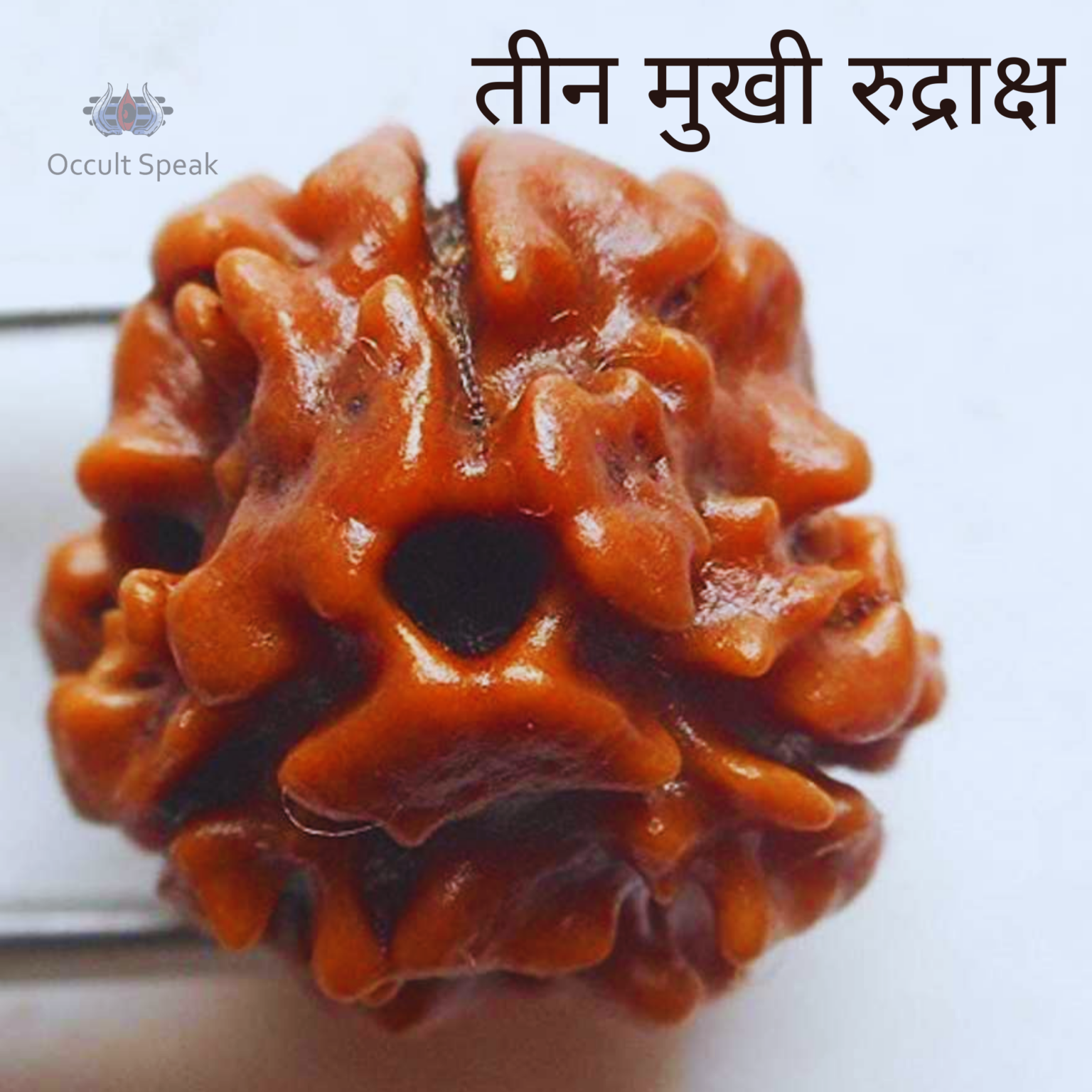 Top 6 Tips About 3 Mukhi Rudraksha To Learn Before You Wear It