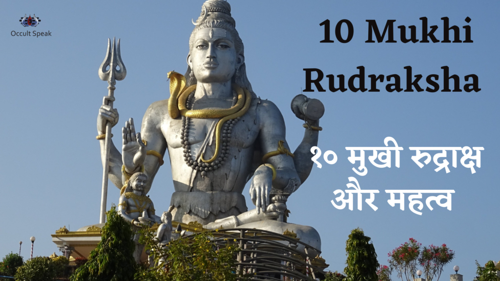 10-mukhi-rudraksha-benefits-in-hindi